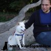 Hundestunde im Sommer